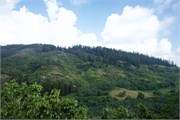 Nawiliwili16