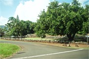 Nawiliwili5