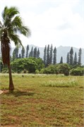Nawiliwili62
