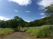 Honolulu1-26