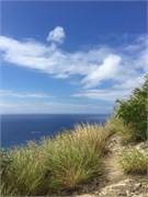 Honolulu1-32