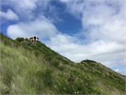 Honolulu1-35