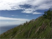 Honolulu1-36