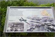 Arizona41