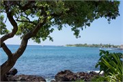 Kona101
