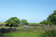 Kona14