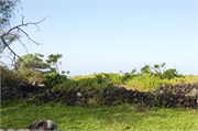 Kona15