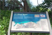 Kona17