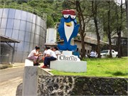 PagoPago47