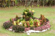 ApiaSamoa21