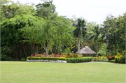 ApiaSamoa56