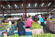 ApiaSamoa62