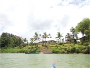SuvaVituLevu44