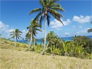 Dravuni-Fiji9