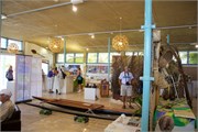 Niue_16