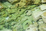 Niue_28