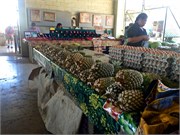 Vavauu-Tonga15