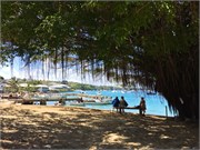 Vavauu-Tonga18