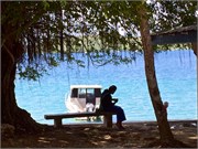 Vavauu-Tonga19