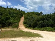Vavauu-Tonga33