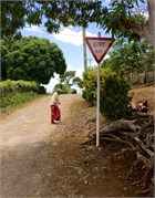 Vavauu-Tonga34