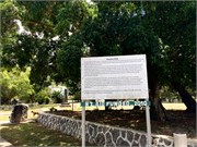 Vavauu-Tonga42