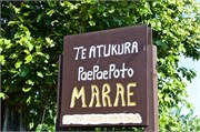 Rarotonga_106