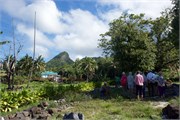 Rarotonga_107