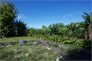 Rarotonga_108