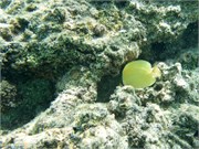 Rarotonga_16