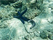 Rarotonga_19