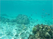 Rarotonga_37