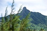 Rarotonga_61