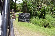 Rarotonga_66