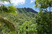Rarotonga_68
