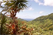 Rarotonga_71