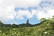 Rarotonga_72