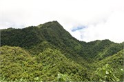 Rarotonga_74