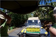 Rarotonga_83