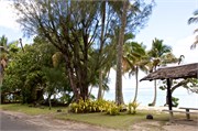 Rarotonga_90