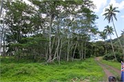 Rarotonga_91