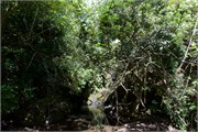 Rarotonga_92