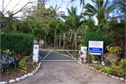 Rarotonga_94