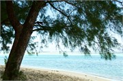 Rarotonga_95