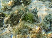 Rarotonga_11