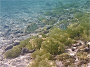 Rarotonga_13