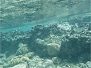 Rarotonga_17