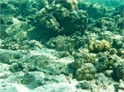 Rarotonga_20