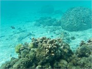 Rarotonga_31