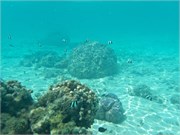 Rarotonga_32